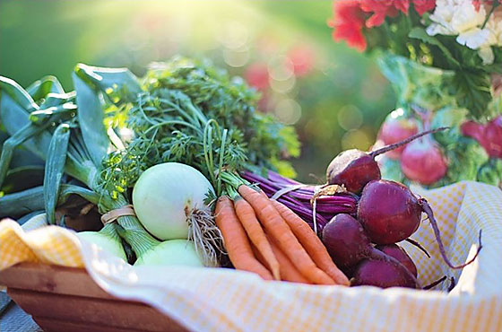Ernährung und Trinkverhalten